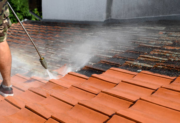 Best Local Pressure Washing Services  in Prien, LA