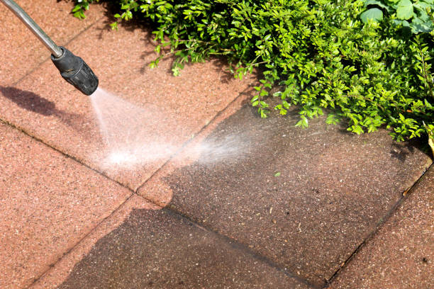 Best Power Washing Near Me  in Prien, LA